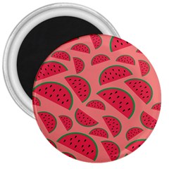 Watermelon Red Food Fruit Healthy Summer Fresh 3  Magnets by pakminggu