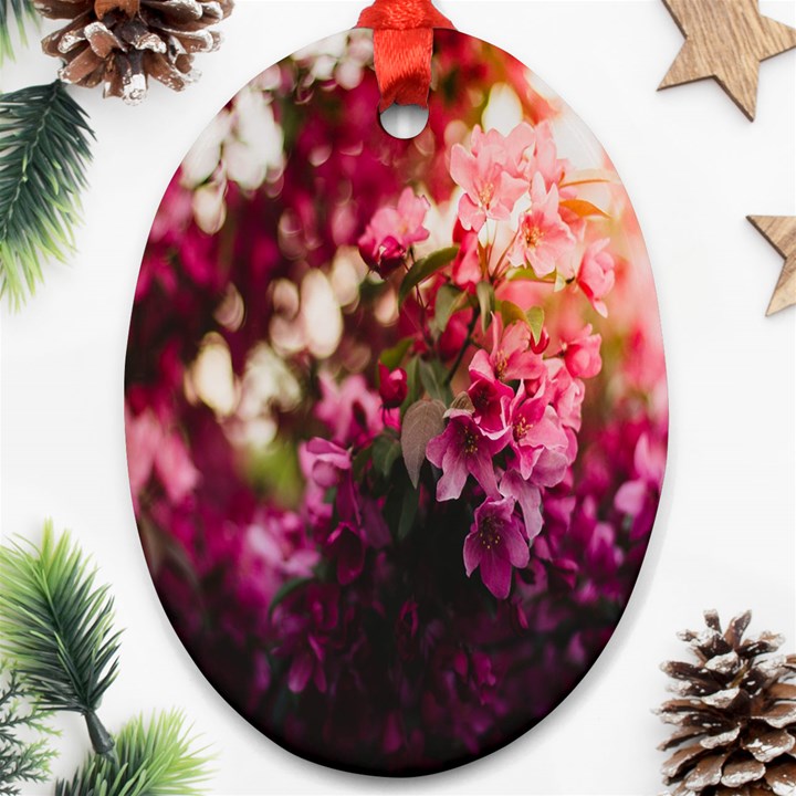 Pink Flower Ornament (Oval)