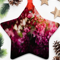 Pink Flower Ornament (star) by artworkshop