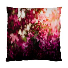 Pink Flower Standard Cushion Case (one Side) by artworkshop