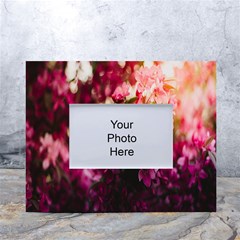 Pink Flower White Tabletop Photo Frame 4 x6  by artworkshop