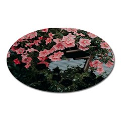 Pink Peony  Flower Oval Magnet by artworkshop