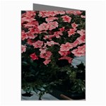 Pink Peony  Flower Greeting Cards (Pkg of 8) Right