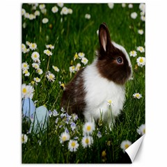 Rabbit Canvas 12  X 16  by artworkshop