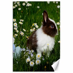 Rabbit Canvas 24  X 36  by artworkshop