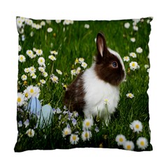 Rabbit Standard Cushion Case (two Sides) by artworkshop