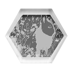 Rabbit Hexagon Wood Jewelry Box by artworkshop