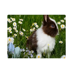 Rabbit Premium Plush Fleece Blanket (mini) by artworkshop