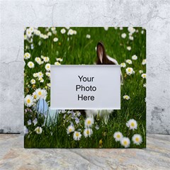 Rabbit White Box Photo Frame 4  X 6  by artworkshop