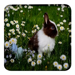 Rabbit Square Glass Fridge Magnet (4 Pack) by artworkshop