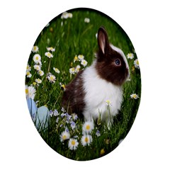 Rabbit Oval Glass Fridge Magnet (4 Pack) by artworkshop