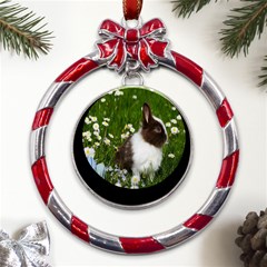 Rabbit Metal Red Ribbon Round Ornament by artworkshop