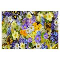 Spring Flowers Banner And Sign 6  X 4  by artworkshop