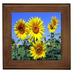 Sunflower Gift Framed Tile by artworkshop