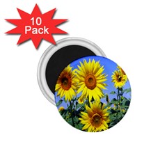 Sunflower Gift 1 75  Magnets (10 Pack)  by artworkshop