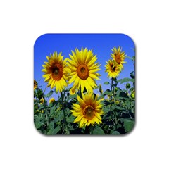 Sunflower Gift Rubber Coaster (square) by artworkshop