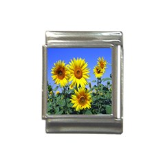 Sunflower Gift Italian Charm (13mm) by artworkshop