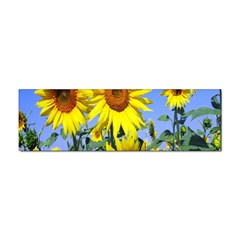 Sunflower Gift Sticker Bumper (10 Pack) by artworkshop