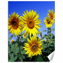 Sunflower Gift Canvas 12  X 16  by artworkshop