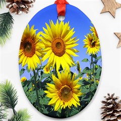 Sunflower Gift Oval Ornament (two Sides) by artworkshop