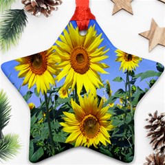 Sunflower Gift Star Ornament (two Sides) by artworkshop