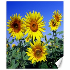 Sunflower Gift Canvas 20  X 24 