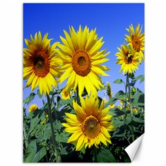 Sunflower Gift Canvas 36  X 48  by artworkshop