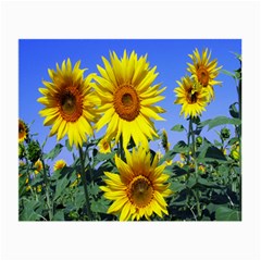 Sunflower Gift Small Glasses Cloth (2 Sides) by artworkshop