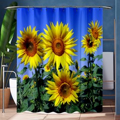 Sunflower Gift Shower Curtain 60  X 72  (medium)  by artworkshop