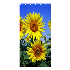 Sunflower Gift Shower Curtain 36  X 72  (stall) 