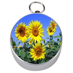 Sunflower Gift Silver Compasses by artworkshop