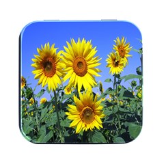 Sunflower Gift Square Metal Box (black) by artworkshop