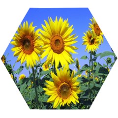 Sunflower Gift Wooden Puzzle Hexagon by artworkshop