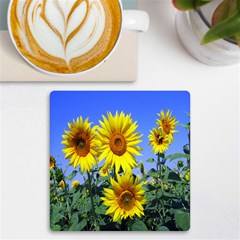 Sunflower Gift Uv Print Square Tile Coaster  by artworkshop