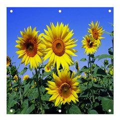 Sunflower Gift Banner And Sign 4  X 4  by artworkshop