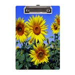 Sunflower Gift A5 Acrylic Clipboard Front