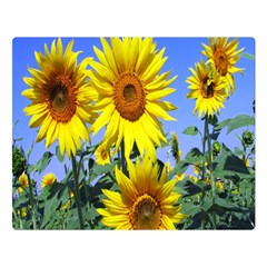 Sunflower Gift Premium Plush Fleece Blanket (large) by artworkshop