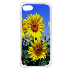 Sunflower Gift Iphone Se by artworkshop