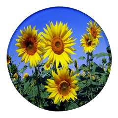 Sunflower Gift Round Glass Fridge Magnet (4 Pack) by artworkshop