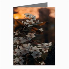 White Flower Greeting Cards (pkg Of 8) by artworkshop