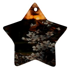 White Flower Star Ornament (two Sides) by artworkshop