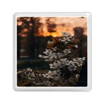 White Flower Memory Card Reader (Square) Front