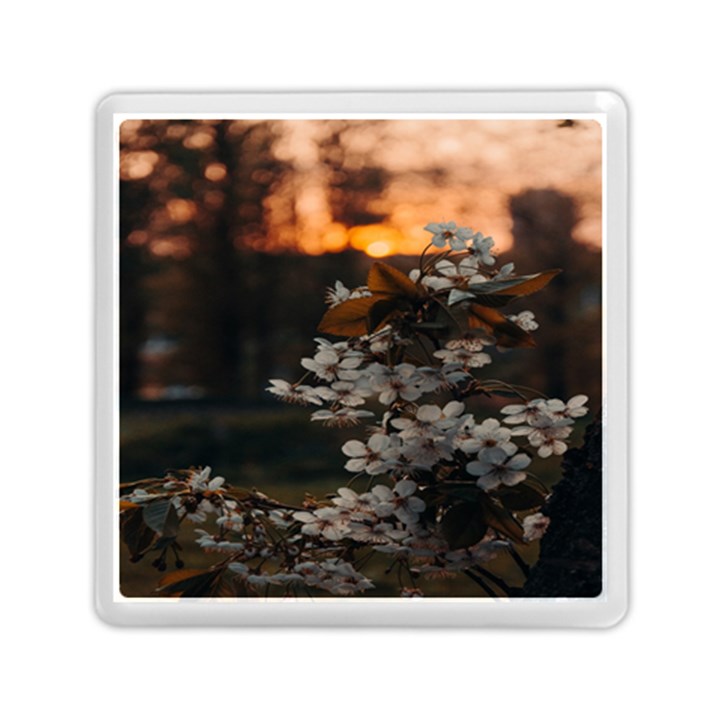 White Flower Memory Card Reader (Square)