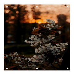 White Flower Banner And Sign 4  X 4  by artworkshop