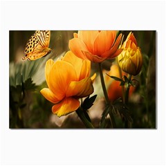 Yellow Butterfly Flower Postcard 4 x 6  (pkg Of 10) by artworkshop