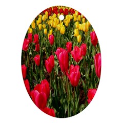 Yellow Pink Red Flowers Ornament (oval) by artworkshop