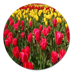 Yellow Pink Red Flowers Magnet 5  (round) by artworkshop