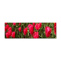 Yellow Pink Red Flowers Sticker (bumper)