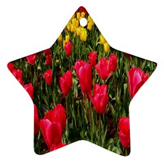 Yellow Pink Red Flowers Star Ornament (two Sides) by artworkshop