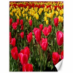 Yellow Pink Red Flowers Canvas 12  X 16  by artworkshop